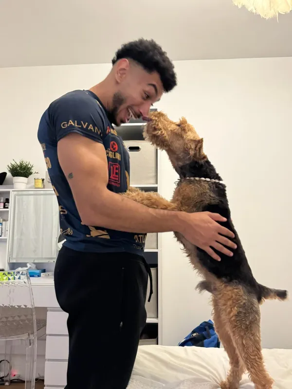 Adopter un chien de 11 ans à la SPA : l'histoire de Joe | ToutouStory